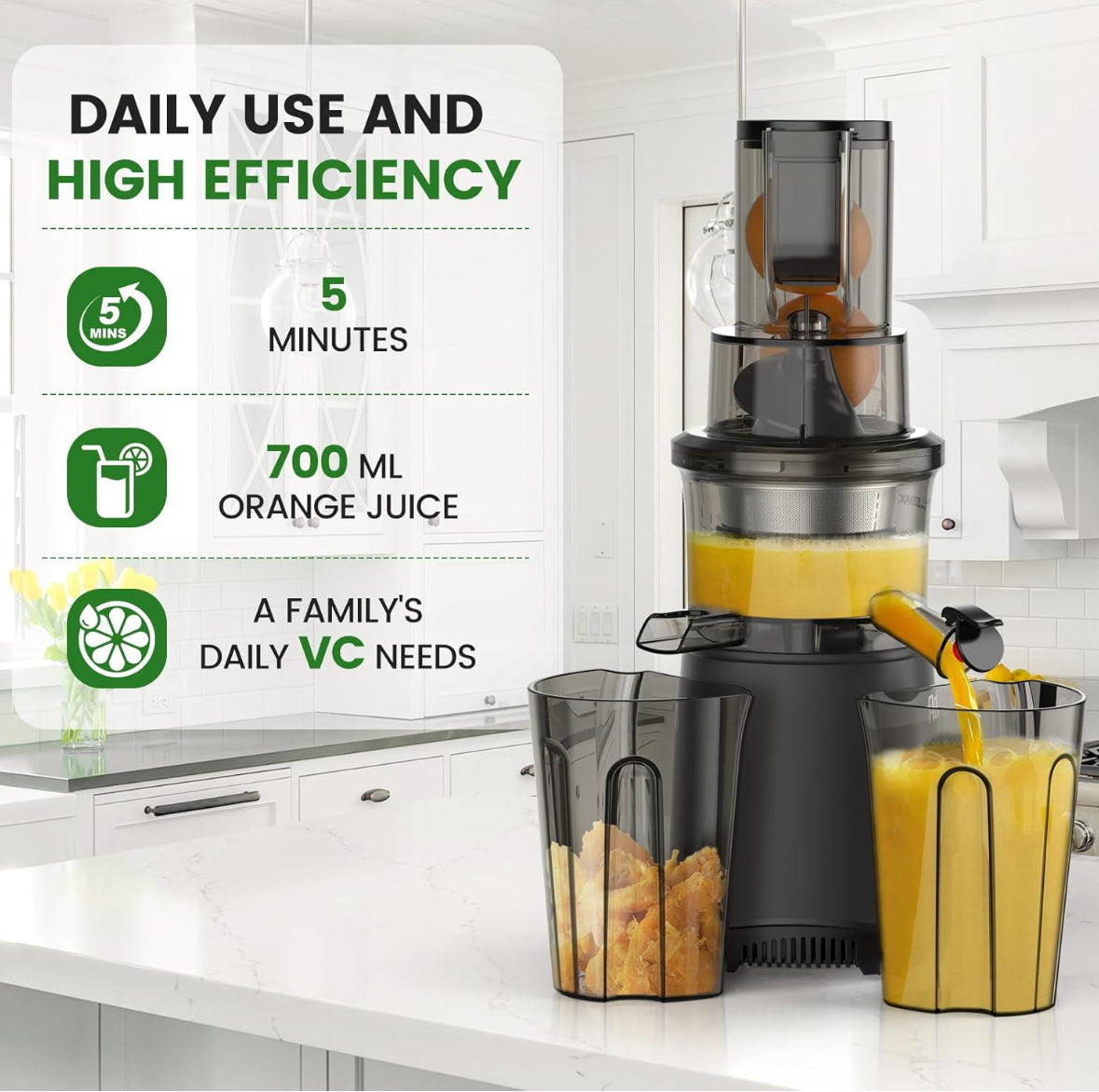 Slow Cold Press Juicer Machines