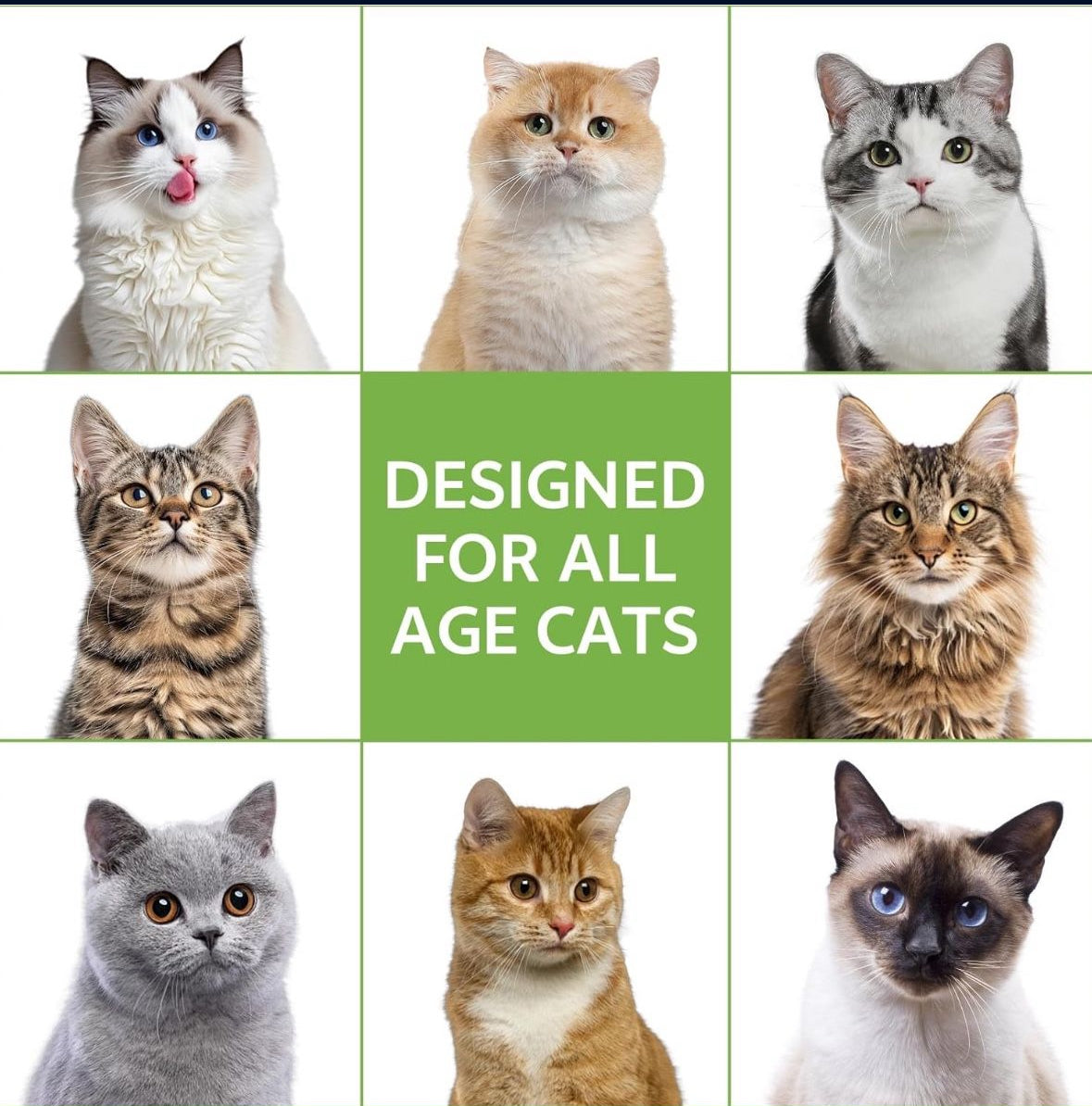 Natural Cat Deterrent Spray, 200ML Kitten Cat Repellent Spray Anti-Scratch for Furniture, Sofas, Curtains, Plants, Non-Toxic, Non-Alcohol Behavior Training
