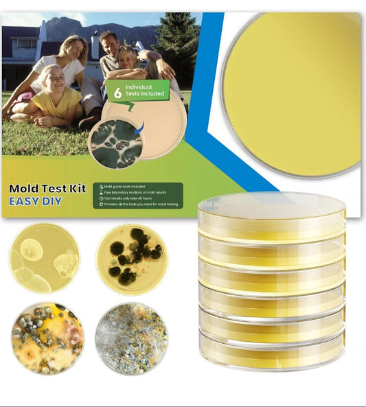 Mold Test Kit for Home - DIY Mold Test Kit for Indoor Air and Household Surface Detection, Includes Detailed Mold Identification Guide and Free Lab
