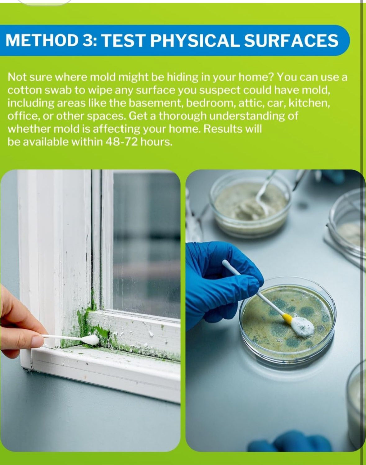 Mold Test Kit for Home - DIY Mold Test Kit for Indoor Air and Household Surface Detection, Includes Detailed Mold Identification Guide and Free Lab